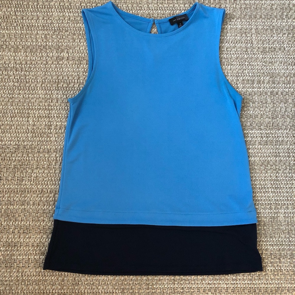 The Limited Sleeveless Blue Colorblock Top